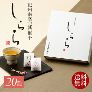 cHi IB썂n~  12 / 20 5% a̎RY IB썂~ ~ ~ IBY 썂~  ؔ   l Mtg v[g Ε ~Mtg  蕨 yY 