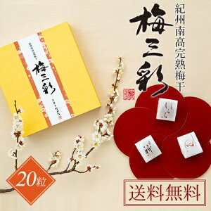 cHi IB썂n~ ~O 12 / 20 (F//S) a̎RY IB썂~  ~ ~ ~ Ε ~Mtg Hה Hׂ IBY 썂~ v[g Mtg  蕨