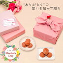 中田食品 母の日 梅干セット (しらら / はちみつ完熟梅) 230g×2送料無料 数量限定 母の日ギフト プレゼント ギフト …