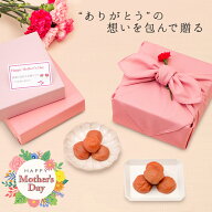 中田食品 母の日 梅干セット (しらら / はちみつ完熟梅) 230g×2送料無料 数量限定 母の日ギフト プレゼ…