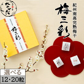 中田食品 紀州南高完熟梅干 梅三彩うめさんさい 12粒 / 20粒 梅干し 減塩 贈答 ギフト 包装あり 母の日 プレゼント ギフト グルメ お取り寄せ