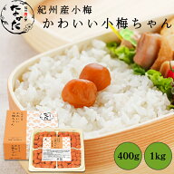 中田食品 かわいい小梅ちゃん 和歌山県産 紀州産小梅 塩分11% 400g /1kg しそ 小梅 梅 梅干 梅干し 梅ぼ…