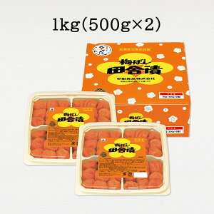 cHi ~ڂcɒ a̎RY IB썂~ 11% (400`1kg)  ~ ~ ~ ~ڂ Y IY썂~  䒆 ăMtg yY hV̓ 2025 v[g Mtg O 
