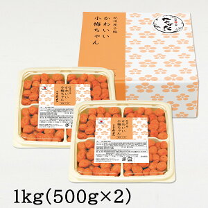 yʌzcHi 킢~ a̎RY IBY~ 11% 400g /1kg  ~ ~ ~ ~ ~ڂ Y v[g Mtg  蕨 2025 Hו O  lC 