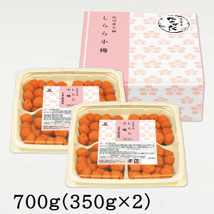 yʌzcHi 珬~ a̎RY IBY~ 5% 400g / 700g ~ ~ ~ ~ ~ڂ Y v[g Mtg 2025 O  Hו  lC ƒp