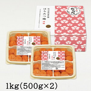 cHi ݂͂~  a̎RY IB썂~ 3 400g / 1kg ݂͂ I ~ ~ ~ ~ڂ Y IBY 썂~ ϔ yY hV̓ 2025 v[g Mtg Hו O 