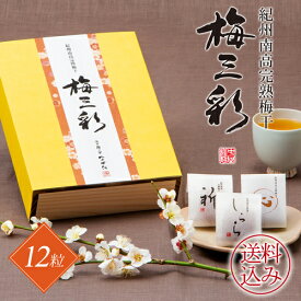 【送料込み】中田食品 紀州南高完熟梅干 梅三彩 12粒 (祈/しらら/心) 和歌山県産 紀州南高梅 しそ うす塩味 梅 梅干 梅干し 梅ぼし 減塩 国産 包装あり お中元 夏ギフト 2024 人気 おすすめ ギフト 食べ物 プレゼント 手土産 お供え 贈り物 贈答