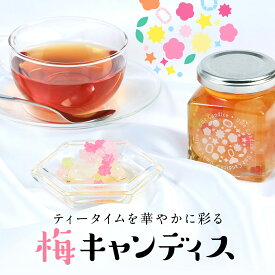 中田食品 星のしずく 梅キャンディス 170g キャンディス 梅 金平糖 氷砂糖 シロップ 瓶 ビン 紅茶 ティータイム グルメ 手土産 プチギフト お取り寄せ 食べ物 人気 プレゼント ギフト 2026 お返し