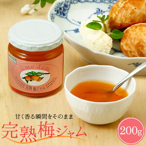 cHi n~W a̎RY IB썂~ 200g W ~ Y IBY n 썂~ r r t[c t[eB[ H  XC[c gbsO O  Hו ƒ