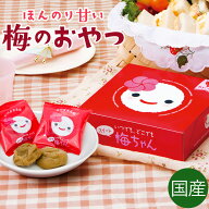 中田食品 いつでもどこでもスイート梅ちゃん 和歌山県産 紀州南高梅 150g おやつ お菓子 個包装 干し梅 …