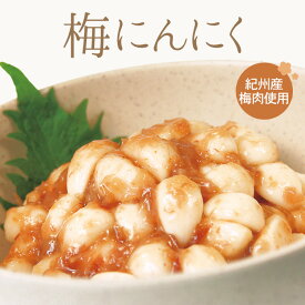 中田食品 梅にんにく 和歌山県産 紀州産南高梅 300g 梅肉 にんにく 紀州産 南高梅 梅 コリコリ 食感 さっぱり おつまみ アテ 料理 食卓 一品 おかず ごはん お弁当 家庭用 グルメ お取り寄せ 食べ物 おすすめ 人気 プレゼント ギフト 贈答 贈り物 手土産 2025