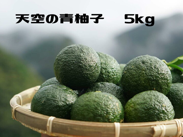 楽天市場 天空の青柚子5kg 中武ファーム 楽天市場 天空の青柚子5kg 中武ファーム