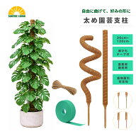 園芸 支柱 太め モンステラ支柱 ココスティック DIY曲げる可能 観葉 つる性植物 植物 誘引 ガーデニング …