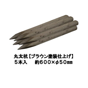 Y  ۑYyuEhdグFhhaρz聕 600mm×50mmi5{jyۑ/x/؍Y/ۑY/[O/ۖ_Y/K[fjO/ACQ/؍/؍/ih~/A/