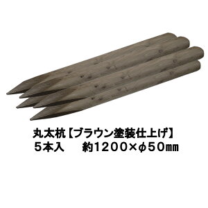Y  ۑYyuEhdグFhhaρz聕 1200mm×50mmi5{jyۑ/x/؍Y/ۑY/[O/ۖ_Y/K[fjO/ACQ/؍/؍/ih~/A/