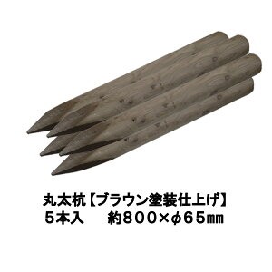 Y  ۑYyuEhdグFhhaρz聕800mm×65mmi5{jyۑ/x/؍Y/ۑY/[O/ۖ_Y/K[fjO/ACQ/؍/؍/ih~/A/V