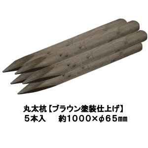 Y  ۑYyuEhdグFhhaρz聕 1000mm×65mmi5{jyۑ/x/؍Y/ۑY/[O/ۖ_Y/K[fjO/ACQ/؍/؍/ih~/A/