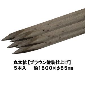 Y  ۑYyuEhdグFhhaρz聕1800mm×65mmi5{jyۑ/x/؍Y/ۑY/[O/ۖ_Y/K[fjO/ACQ/؍/؍/ih~/A/