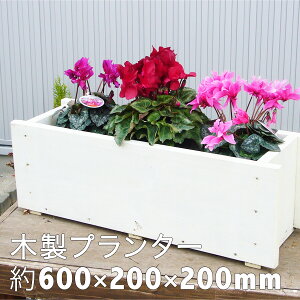 ؐv^[600-200[^600s200izCgjyؐv^[zyhhaρz