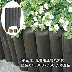 uԒdvԒdpAۑY300mm×50mmi5{Ajh^Cvi`R[gE[vEubNjyhhaizyK[fjO/ۑ/Y/͂/d؂/y//tFX/
