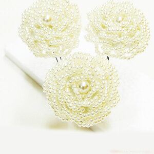 a/hX@p[[Y@Us@3Zbg030-0665@lEJIPEӉEp[eB[E\@lR|XsS-06