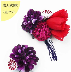 y݌Ɍzat[R[2_Zbga U@܎O@v[gS-06