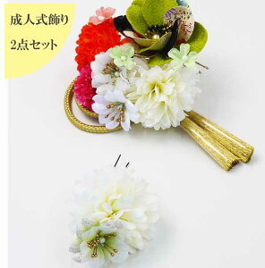 y݌Ɍzat[R[2_Zbgst[a U@܎O@v[gS-06