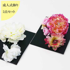 y݌Ɍzat[R[2_Zbgs/sNt䉖a U@܎O@v[gS-06