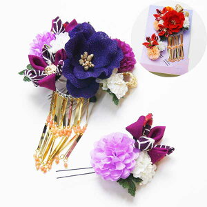 y݌Ɍziт牺t[R[2_Zbgsn/Ԍnta U@܎OS06