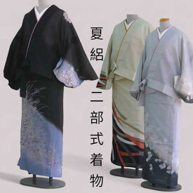 洗える二部式着物 絵羽柄　夏絽L M 雨の日/お仕事/街歩き/稽古/海外旅行
