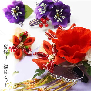 Iׂ鐬l蕟܃Zbg؏ZbgɁ@傢@S-06