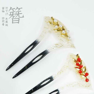 V񂴂@s/tK⒅@U @@JIP