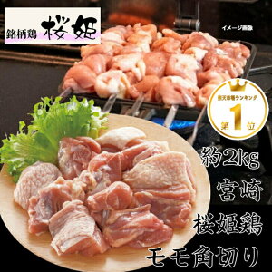 {P{p؂ 2kg  ̎{ Ē Zbg { Ƃ{ uh{  pbN  Y{ {茧Y g K Jbg