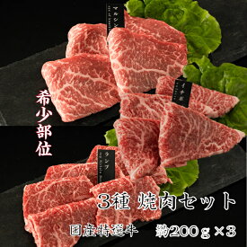 送料無料 国内産特選牛赤身3種セット ランプ・イチボ・マルシン(シンシン)焼肉 各約200g 焼肉 焼き肉 焼き肉セット国産 牛肉 赤身肉 焼肉赤身 赤身 焼肉 赤身肉 焼き肉 焼肉セット赤身 高級焼肉 高級焼肉セット