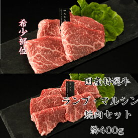 送料無料 国内産特選牛ランプ・マルシン(シンシン)焼肉 各約200g 領収書 焼肉 焼き肉 焼肉プレート お肉食べ比べ 牛肉 肉 赤身 焼肉 赤身肉 焼肉焼肉セット赤身 肉盛り合わせ 高級焼肉セット 高級焼肉