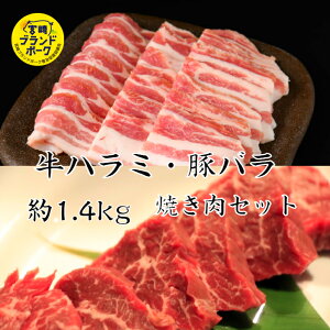  n~E؃oē2Zbg 1.4kg ē ēZbg ēv[g ₫ɂēZbgY ē Mtg ؓ΂ u^ n~  Ԑg ēԐg