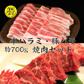 送料無料 牛ハラミ・豚バラ焼肉2種セット 約700g はらみ 豚バラ 領収書 焼肉 焼肉セット 焼き肉 焼肉人気盛 牛豚セット 焼肉セット通販 焼肉セットお取り寄せ 焼肉セット通販おすすめ焼肉セットハラミ