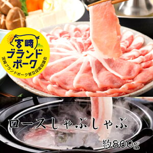 {uh|[N[XԂ 800g  u^ Ԃ Ԃԓ ؓ  Ԑg Ԑg Y ؂ԂԃXCX ₫ ē Ă Mtg 