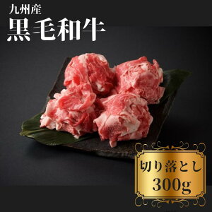 BY јa ؂藎Ƃ ( 300g ) Mtg v[g j  a S S   Y O