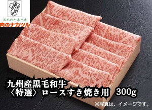 yn04zBYјaqIr[XĂpi300gj-yMtgρz