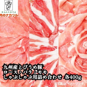 yn11zBYƂтߓ؁@[XEoE @Ԃԗp@l@(1200g)-yMtgρz