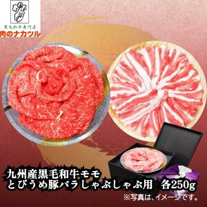 yn13zBYјaEƂтߓ؃oԂԗp lߍ킹@500gie250gjyMtgρz-