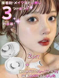 【タイムセール】【種類最多 全27色】マグネット式つけまつげ ナチュラル 接着剤不要 3Dつけまつ毛 超軽量 磁石 繊維 長持ち ナチュラル 話題 携帯便利 多機能 磁気つけまつげ マグネットつけまつげ 初心者 クリップ付き 再利用