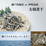 ※箱に直接入ってその分お買い得 煮干 瀬戸内海産 伊吹島産 業務用にもおすすめ 伊吹島産　煮干　いりこ…