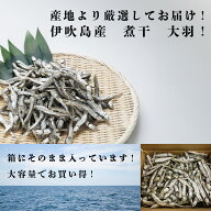大量購入でお買い得！ 業務用にもおすすめ 伊吹島産　煮干　いりこ　1キロ 　箱入り　大羽　煮干　いりこ…