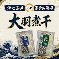 煮干　【大容量になればなるほどお得！】ご家庭用から業務用まで　伊吹島産　250g　400g　1キロ　伊吹い…