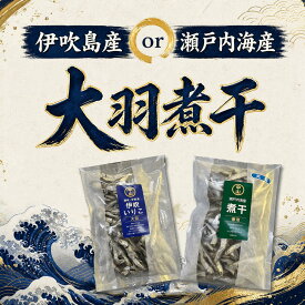 煮干　【大容量になればなるほどお得！】ご家庭用から業務用まで　伊吹島産　250g　400g　1キロ　伊吹いりこ　大羽　煮干　にぼし　煮干し　瀬戸内海産　観音寺市　出汁　酸化防止剤不使用　だし