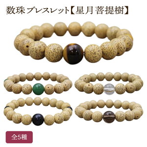 uXbg  VR d S5 10mm vX`bNP[X Ֆڐ  { xŐ Ֆڐ O r֐ r֔O p jp