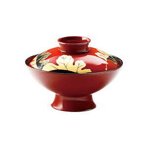  4.2  zo et iC E^h o `o zoy21-66-18z