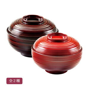 4.5 냍NDݘo S2 ~ E^+̍h o `o Î / Ñy21-67-12zy21-67-13z